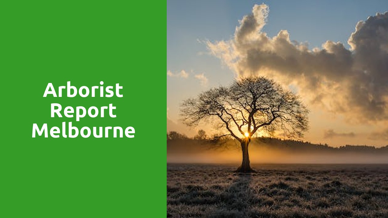arborist report melbourne