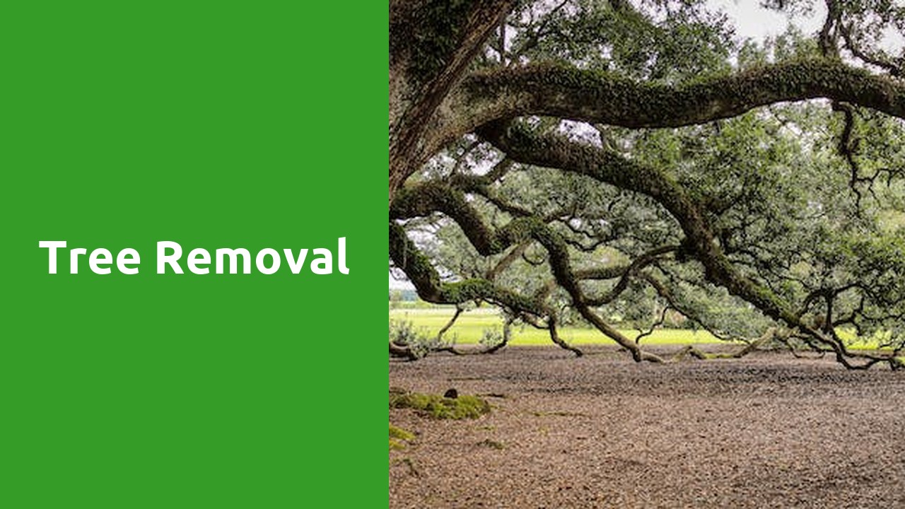 tree removal