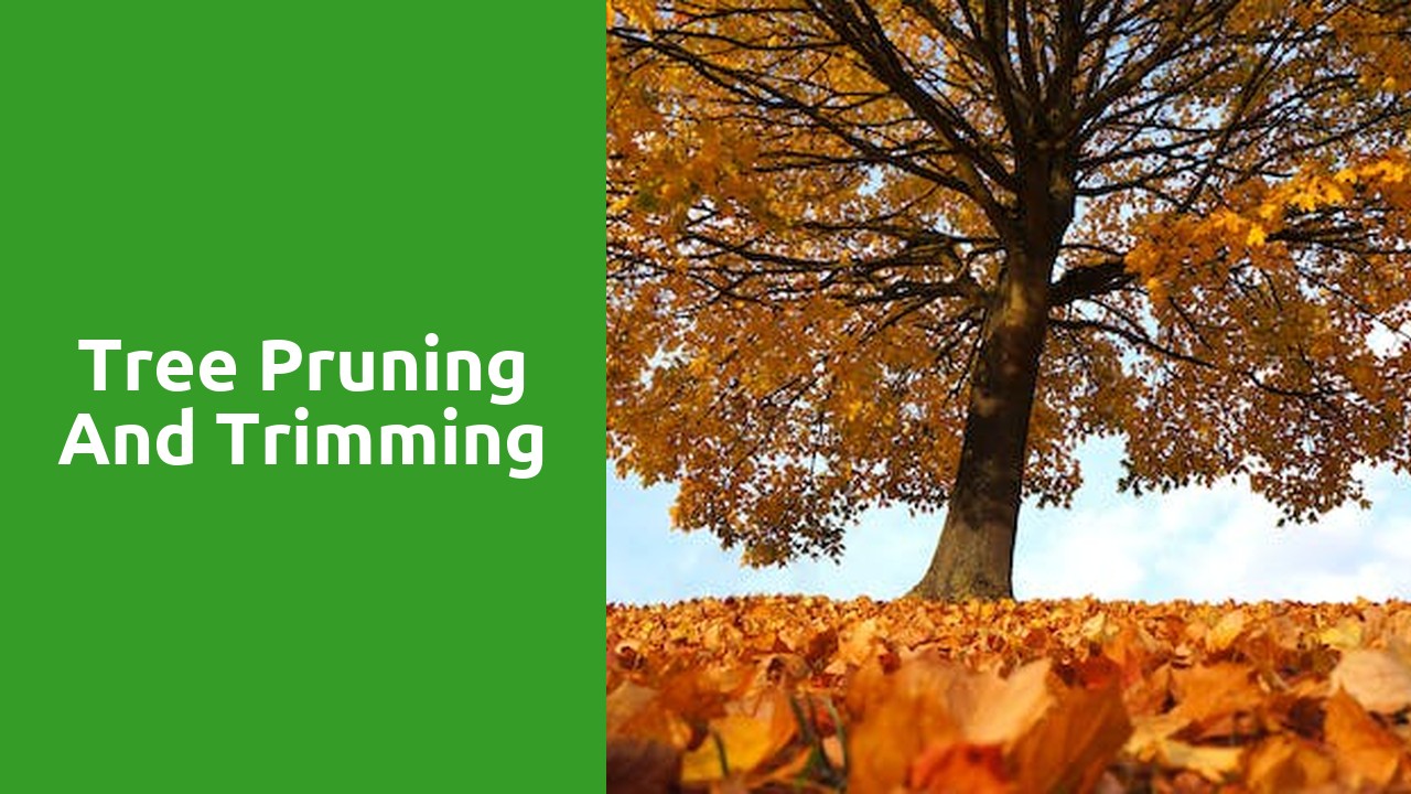 Tree pruning and trimming